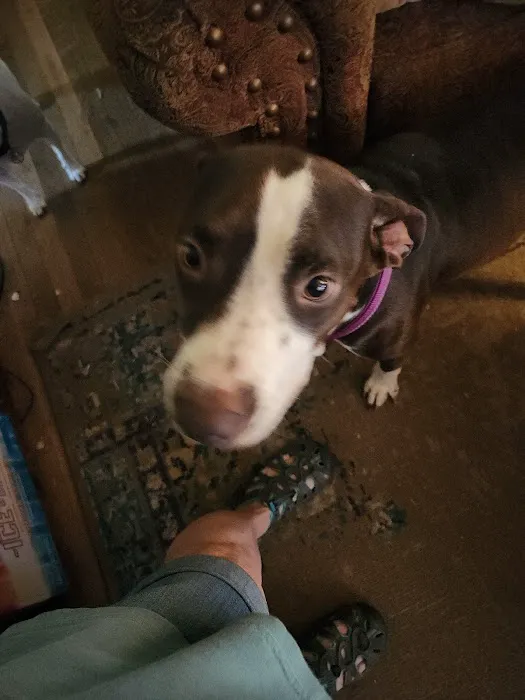 Duncan Veterinary Hospital Picture 4