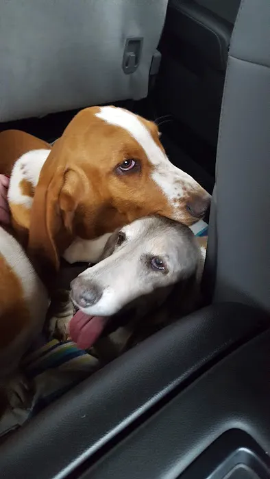 Duncan Veterinary Hospital Picture 10