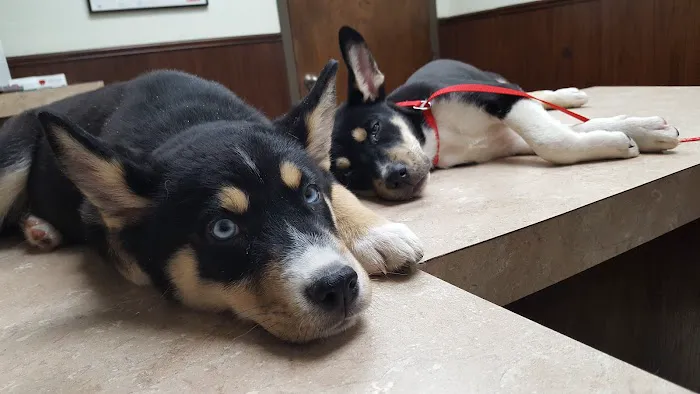 Duncan Veterinary Hospital Picture 9