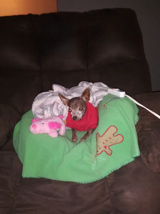 Duncan Veterinary Hospital Picture 8