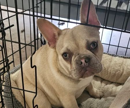 Minson Veterinary Hospital