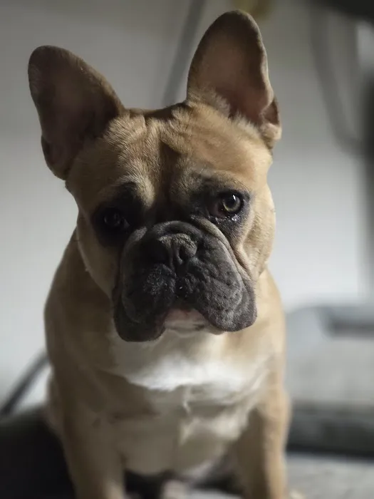 Minson Veterinary Hospital Picture 2