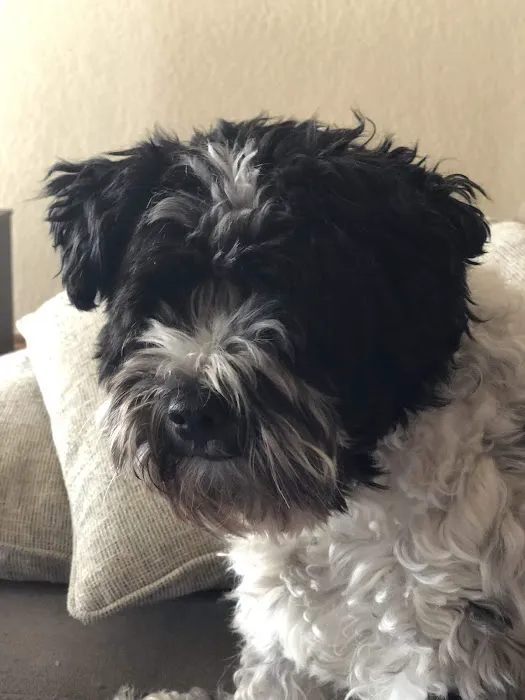 Minson Veterinary Hospital Picture 4