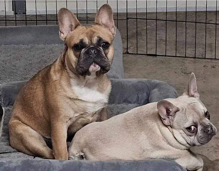 Minson Veterinary Hospital Picture 3