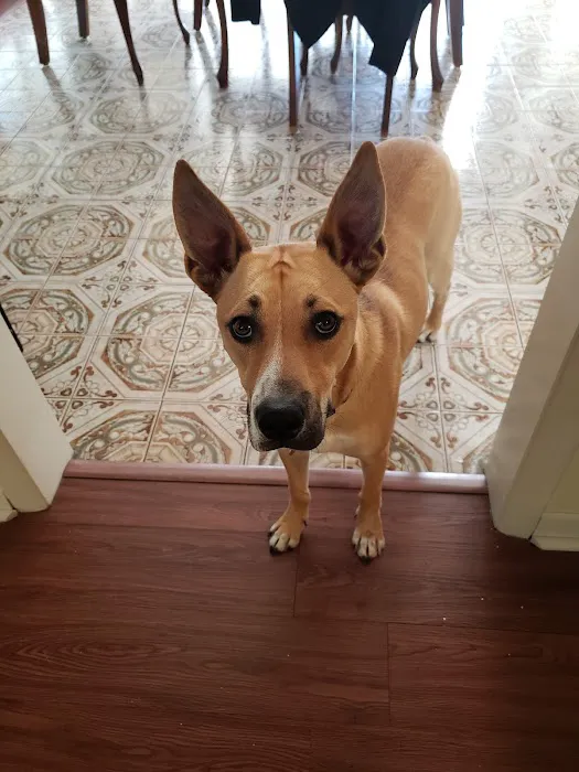 Minson Veterinary Hospital Picture 8