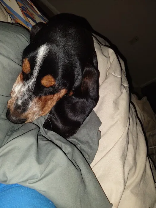 Minson Veterinary Hospital Picture 6