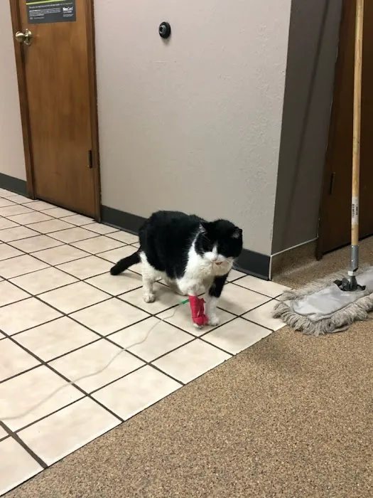 Minson Veterinary Hospital Picture 7