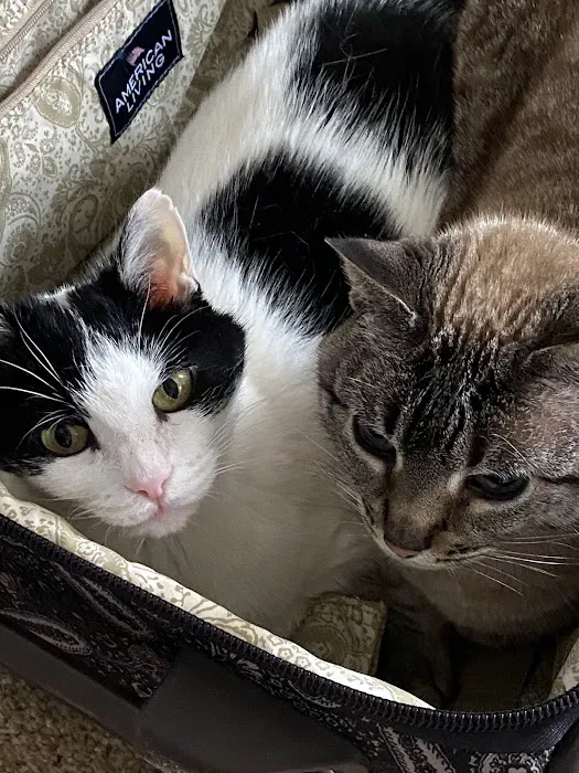 Minson Veterinary Hospital Picture 9