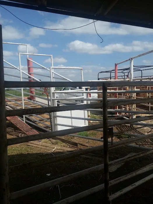 Fairview Animal Clinic Picture 1