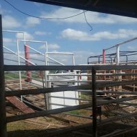 Fairview Animal Clinic ico