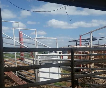 Fairview Animal Clinic