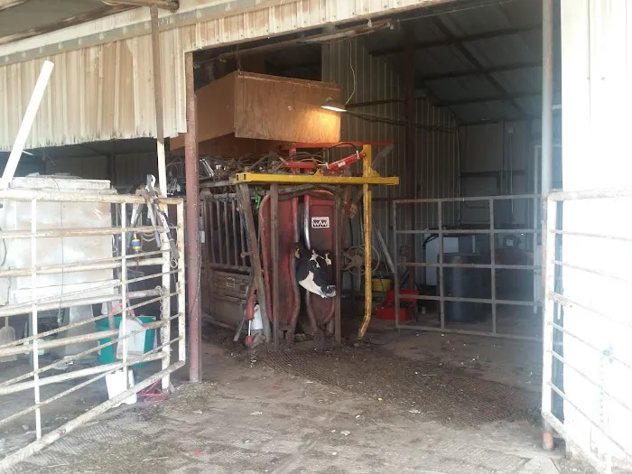 Fairview Animal Clinic Picture 2