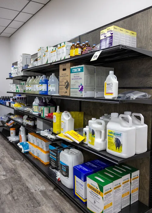 Veterinary Enterprises Picture 8