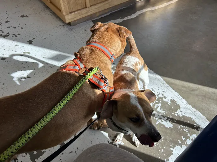 Ark Veterinary Clinic Picture 3