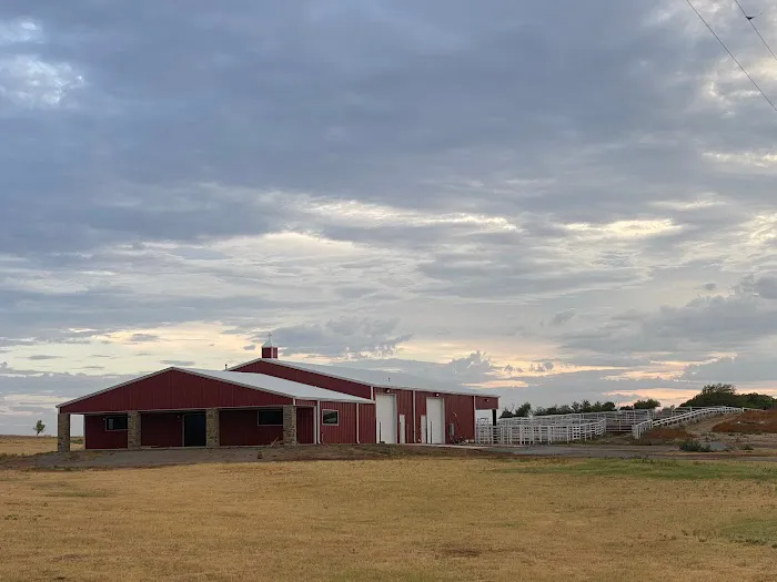 Freeman Beef Genetics Picture 1