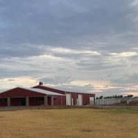 Freeman Beef Genetics ico