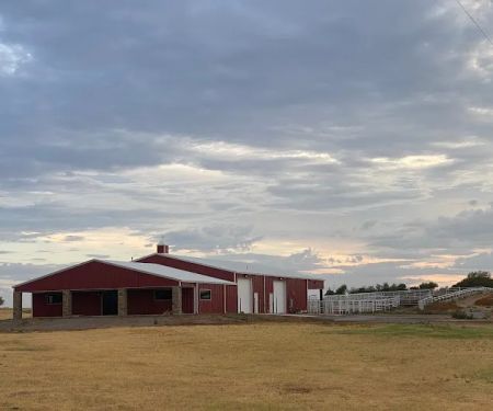 Freeman Beef Genetics