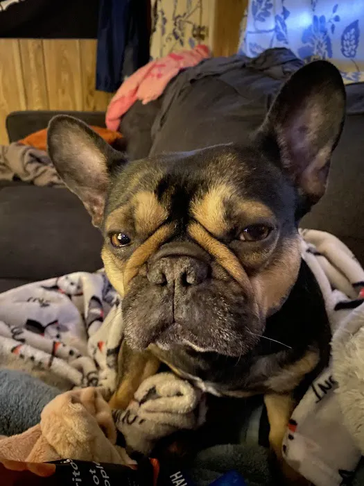 Alva Veterinary Clinic Picture 2