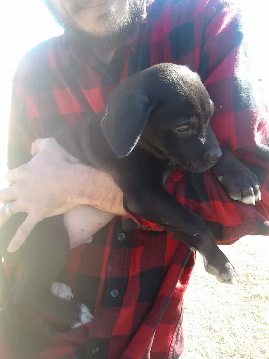 Alva Veterinary Clinic Picture 4