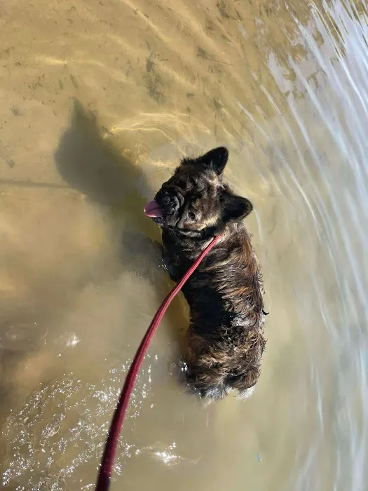 Alva Veterinary Clinic Picture 3