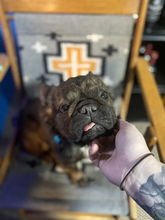 Alva Veterinary Clinic Picture 5