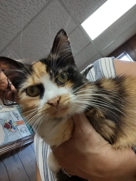 Ridgeview Veterinary Hospital Picture 1