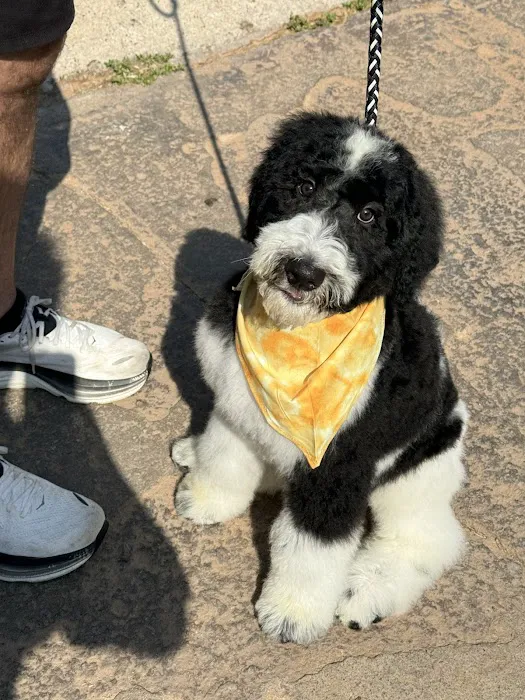 Ridgeview Veterinary Hospital Picture 2