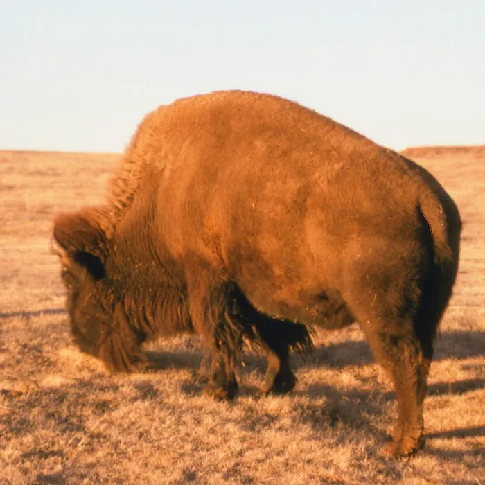 Ridgeview Veterinary Hospital Picture 3