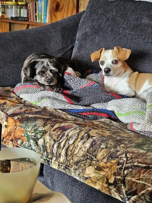 Ridgeview Veterinary Hospital Picture 4