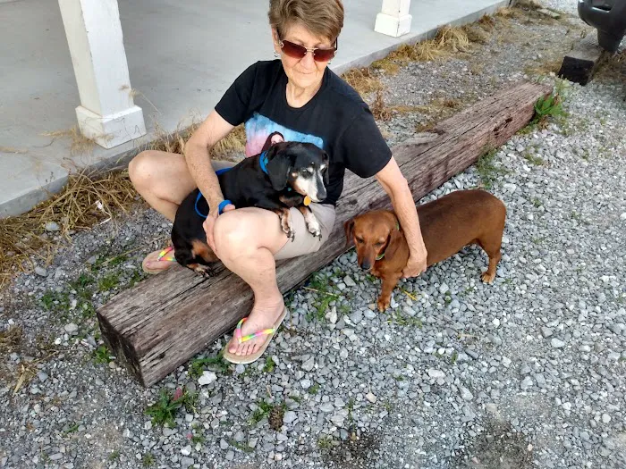 Chisholm Trail Animal Hospital, PLLC Picture 3