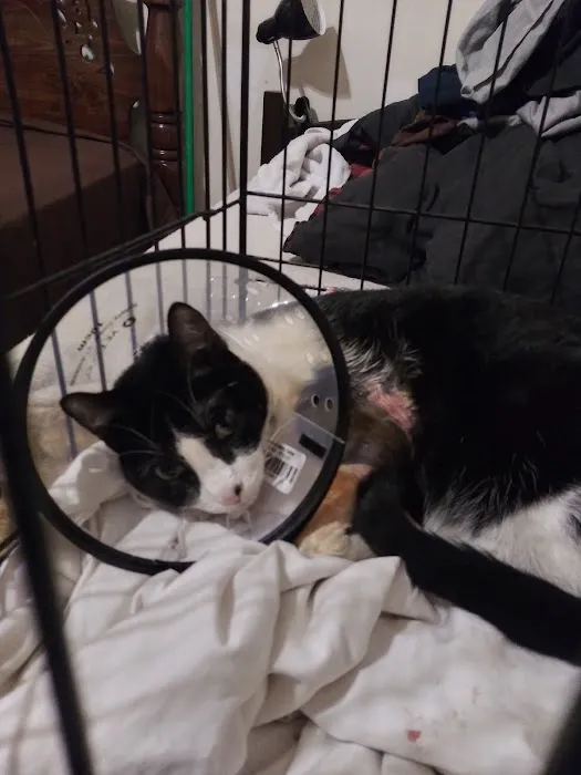 Chisholm Trail Animal Hospital, PLLC Picture 1