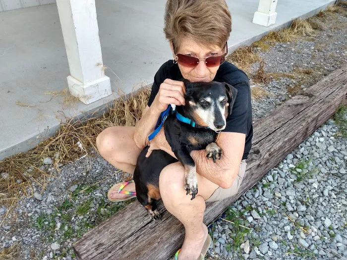 Chisholm Trail Animal Hospital, PLLC Picture 2