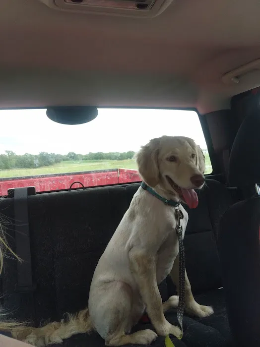 Chisholm Trail Animal Hospital, PLLC Picture 8