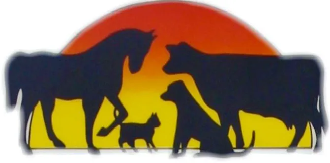 Woodland Animal Hospital Picture 3