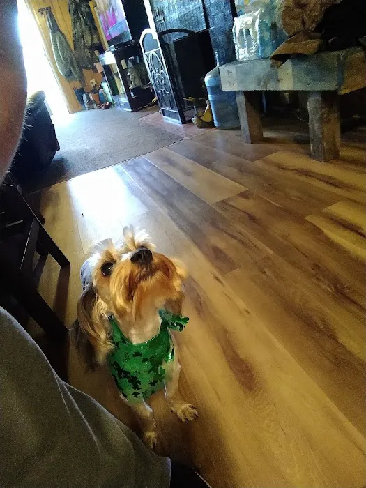 Woodland Animal Hospital Picture 4