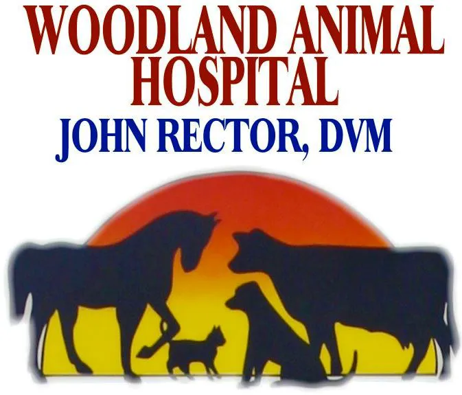Woodland Animal Hospital Picture 6