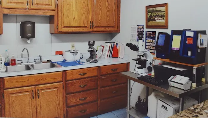 Woodland Animal Hospital Picture 7