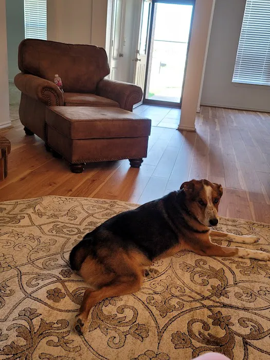 Chambers Veterinary Clinic Picture 1