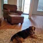 Chambers Veterinary Clinic