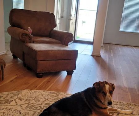 Chambers Veterinary Clinic