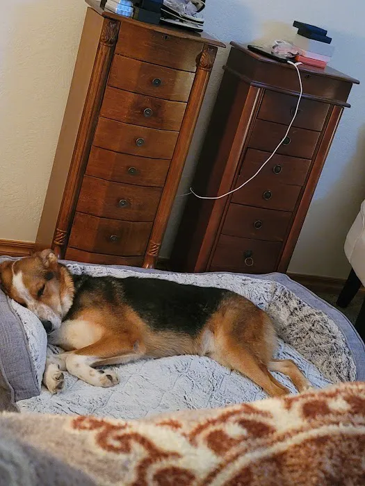 Chambers Veterinary Clinic Picture 2