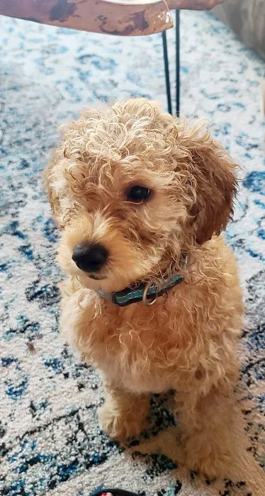 Chambers Veterinary Clinic Picture 5