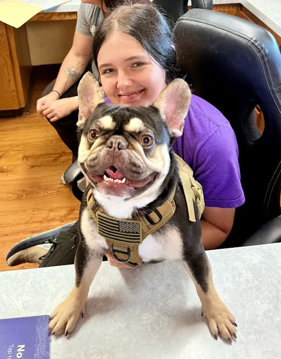 Chambers Veterinary Clinic Picture 9