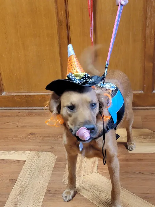 Chambers Veterinary Clinic Picture 7