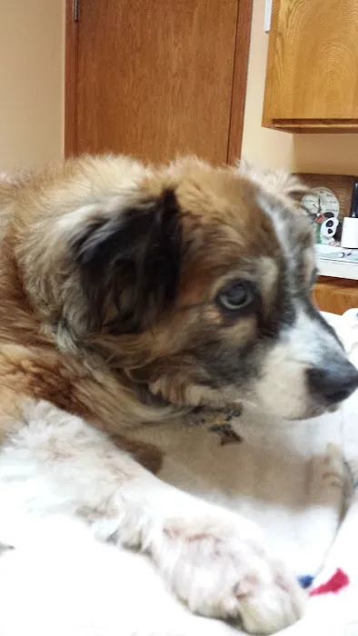 Chambers Veterinary Clinic Picture 10