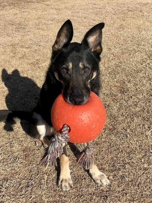 Southwest Veterinary Clinic Picture 1