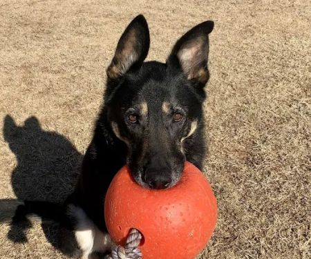 Southwest Veterinary Clinic