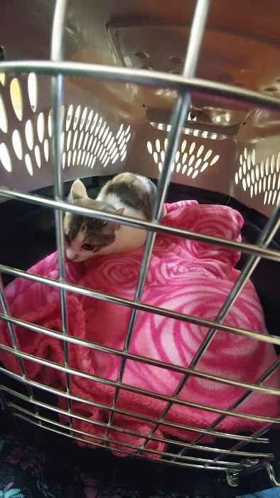 Southwest Veterinary Clinic Picture 4