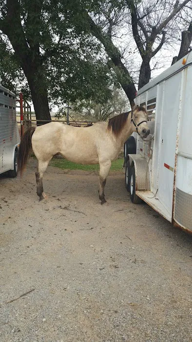 Southwest Veterinary Clinic Picture 3