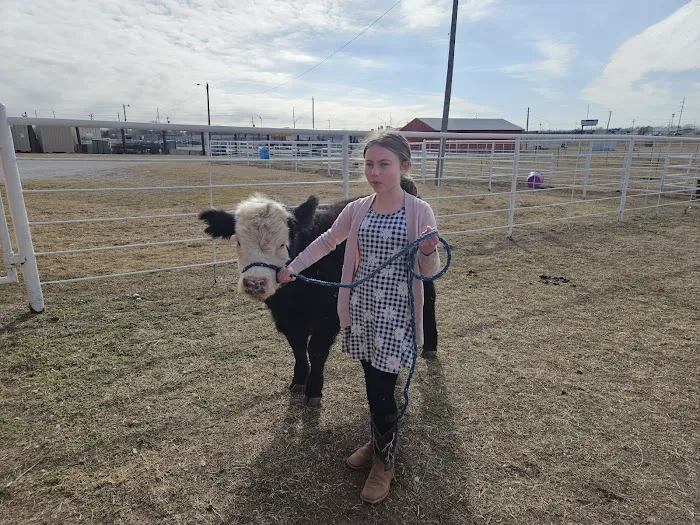 Southwest Veterinary Clinic Picture 2